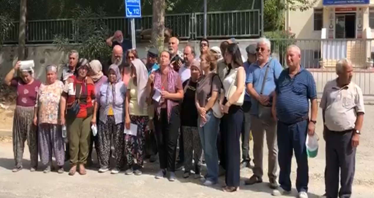 akbelende orman savaslarindan sonra zeytin savaslari basladi ROzZFHUW