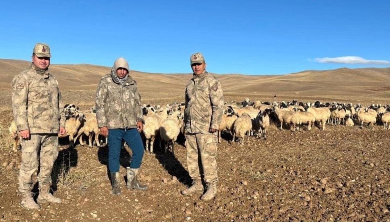 kaybolan 300 koyun iha destegi ile bulundu OS98iyKY