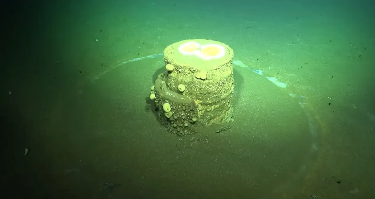 okyanus tabanindaki gizemli halkalar zehirli sirri aciga cikardi fkumDrnd