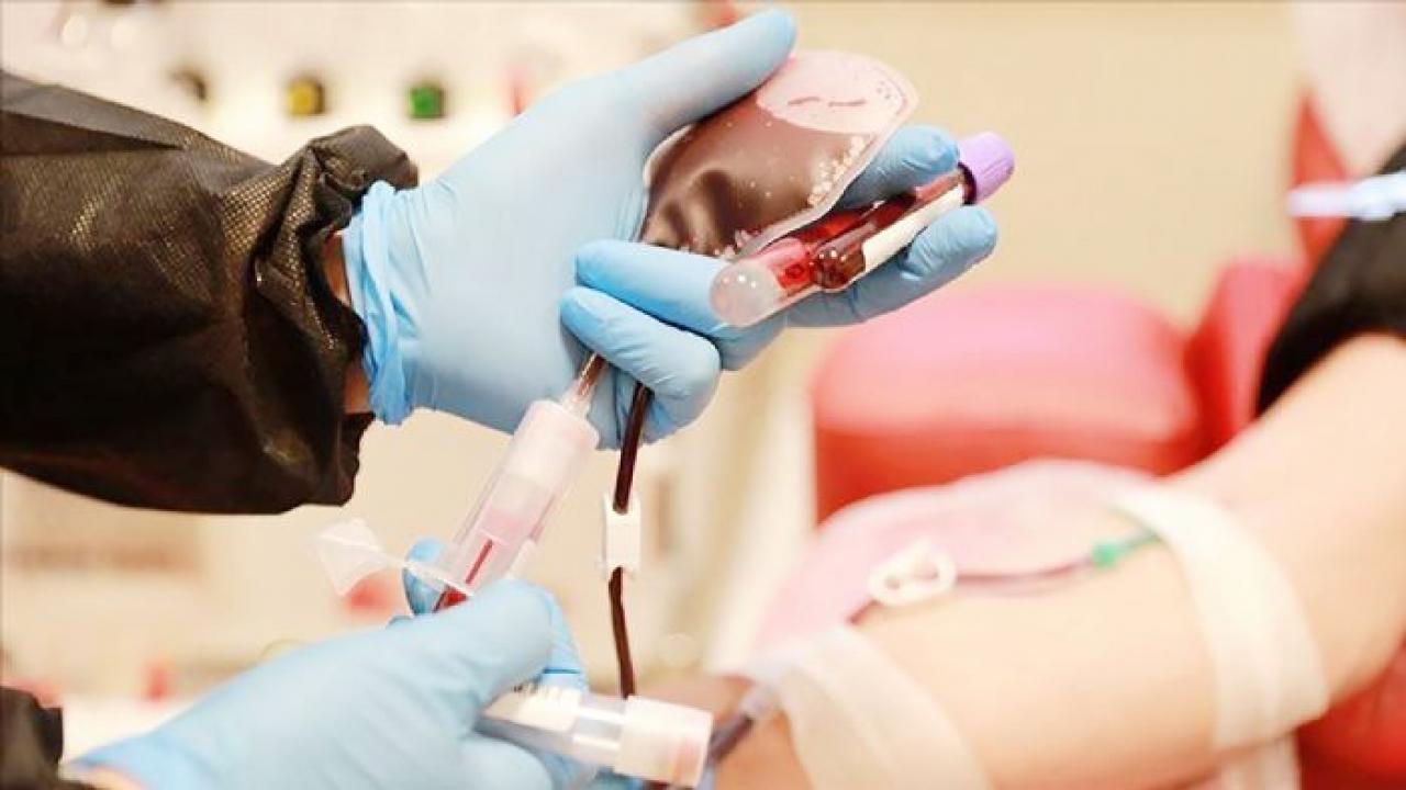 bir bagis bir hayat kok hucre bagisiyla hayat yeniden basliyor l4byvGrp.jpg