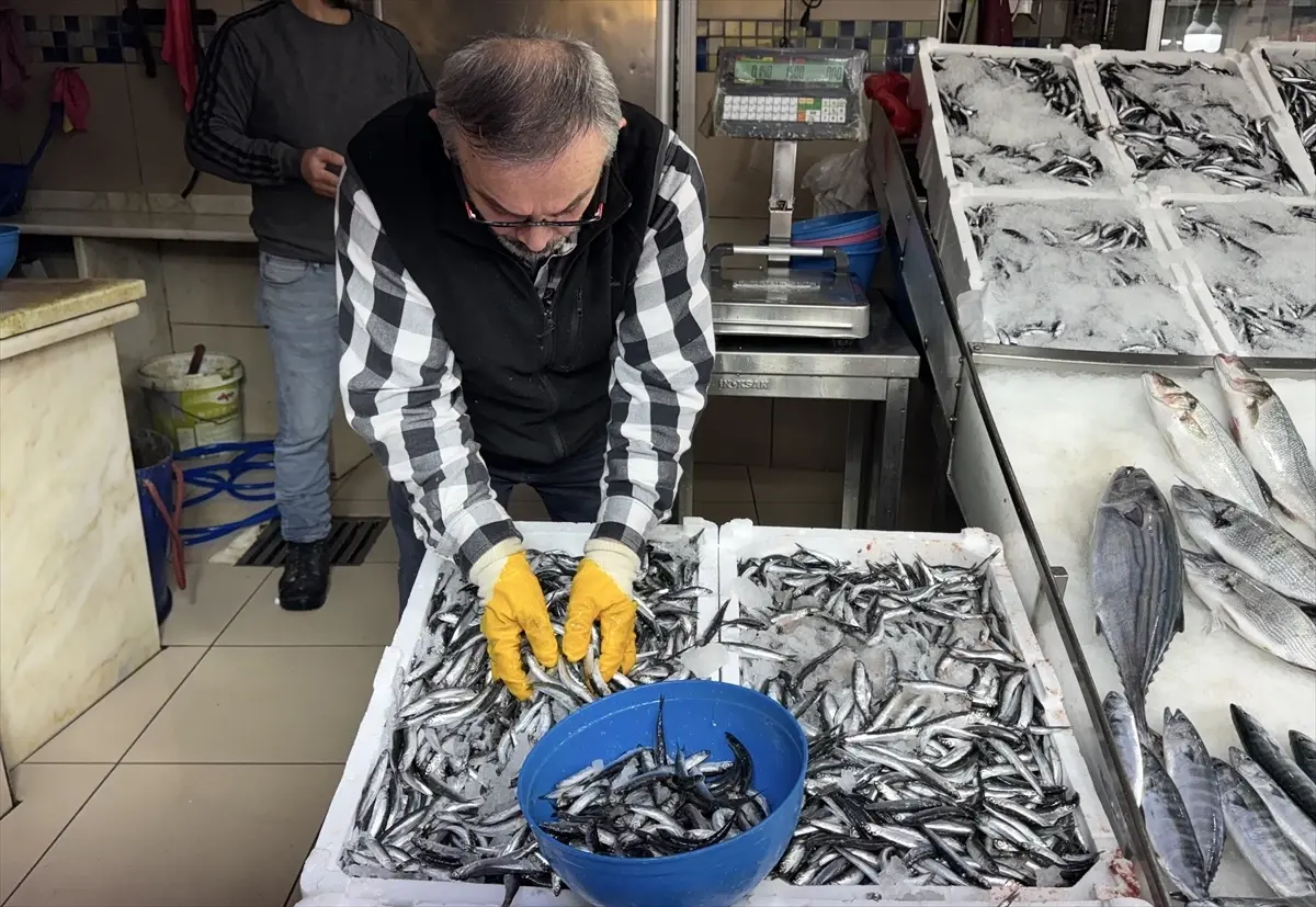 sinopta hamsi fiyatlari dustu 4ipTaPsK.jpg