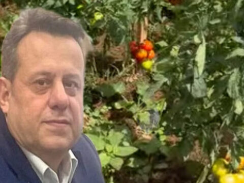 Haber gorseli